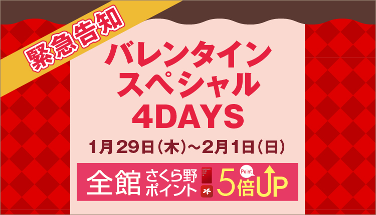 バレンタインスペシャル4DAYS