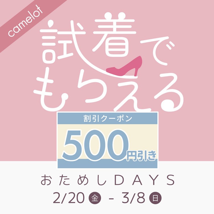 キャメロットおためしDAYS2602